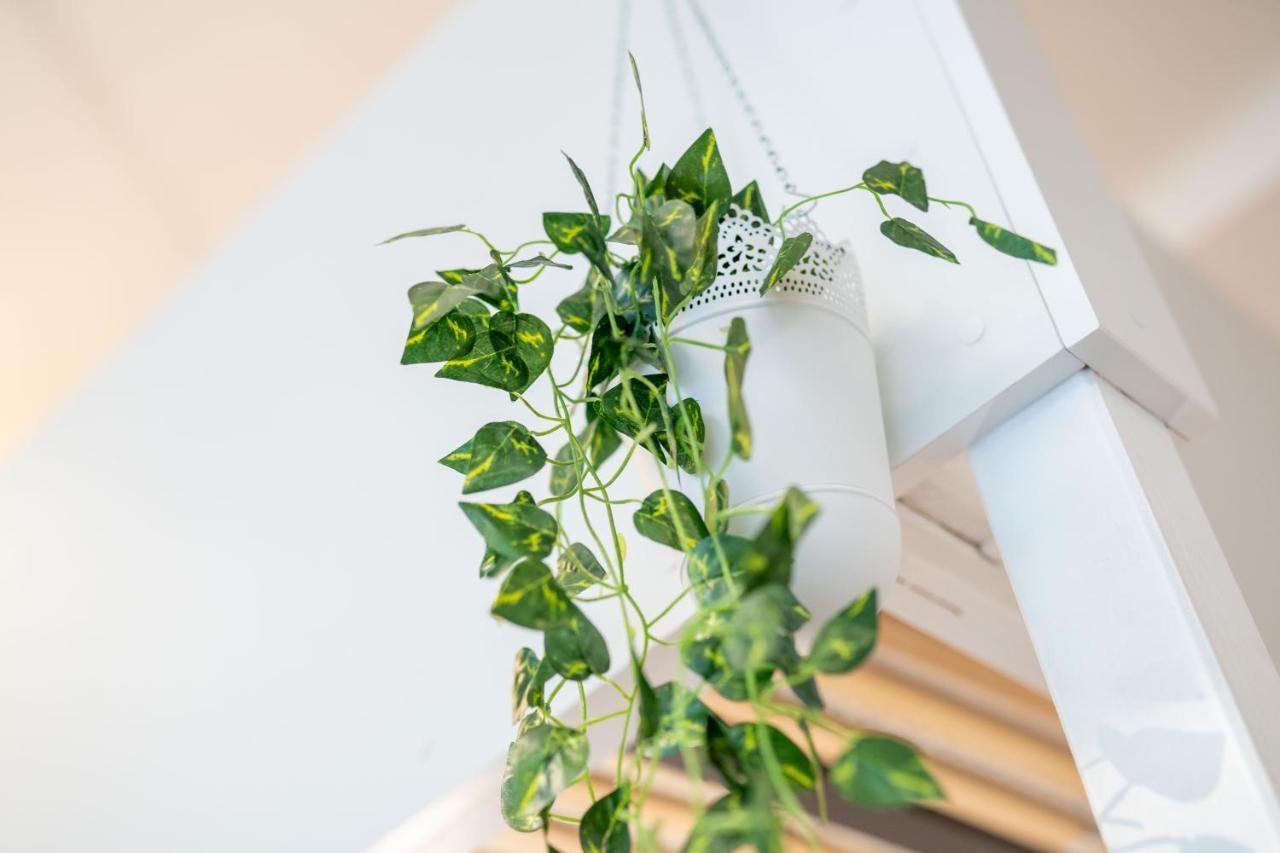 Cozy Modern Nest In The Heart Of Vienna With Netflix Leilighet Eksteriør bilde
